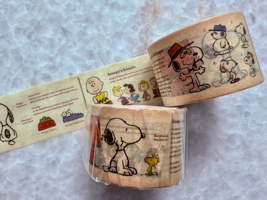 Two rolls of washi tape with cartoon characters on a light gray background