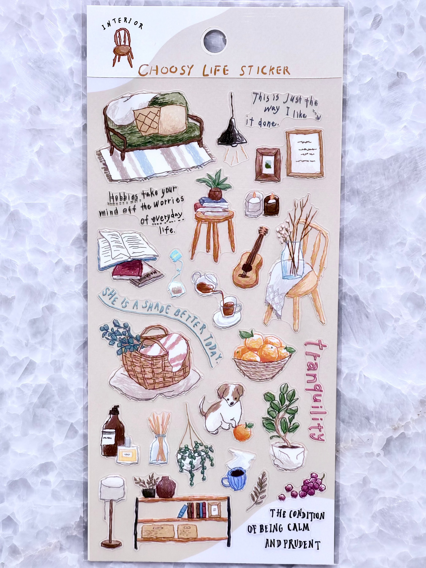 Mindwave - PET Stickers Interior Choosey Life Stickers, front