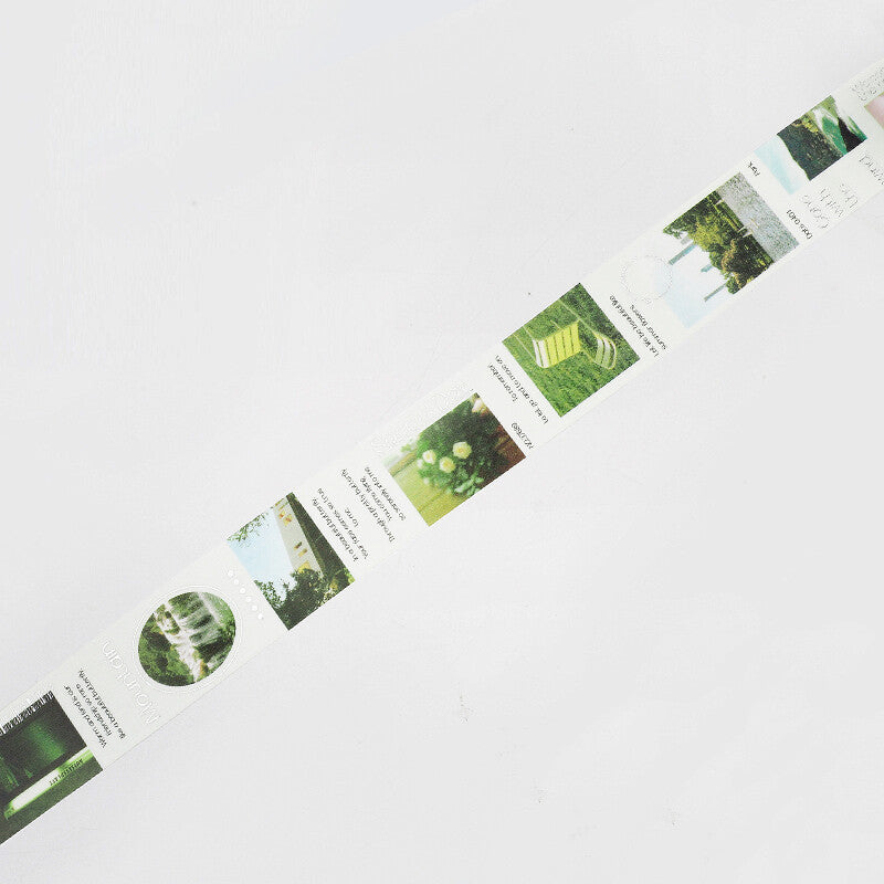 BGM - Washi tape, Color city scenes, green, loop