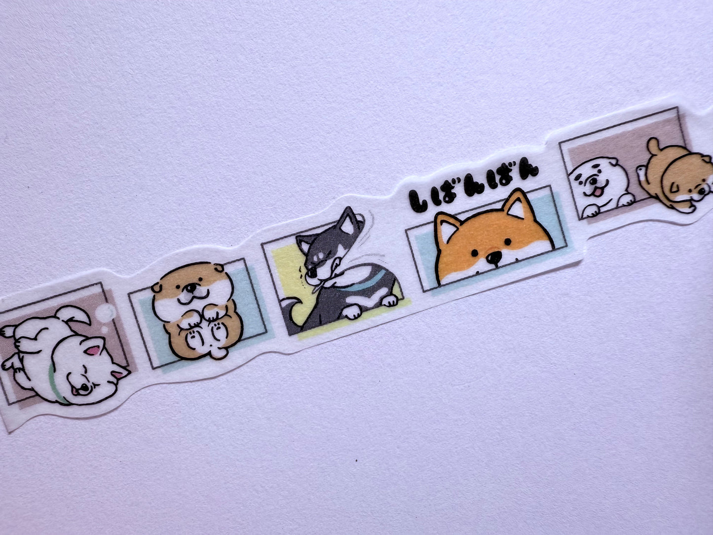 Set of cute animal stickers on a white background