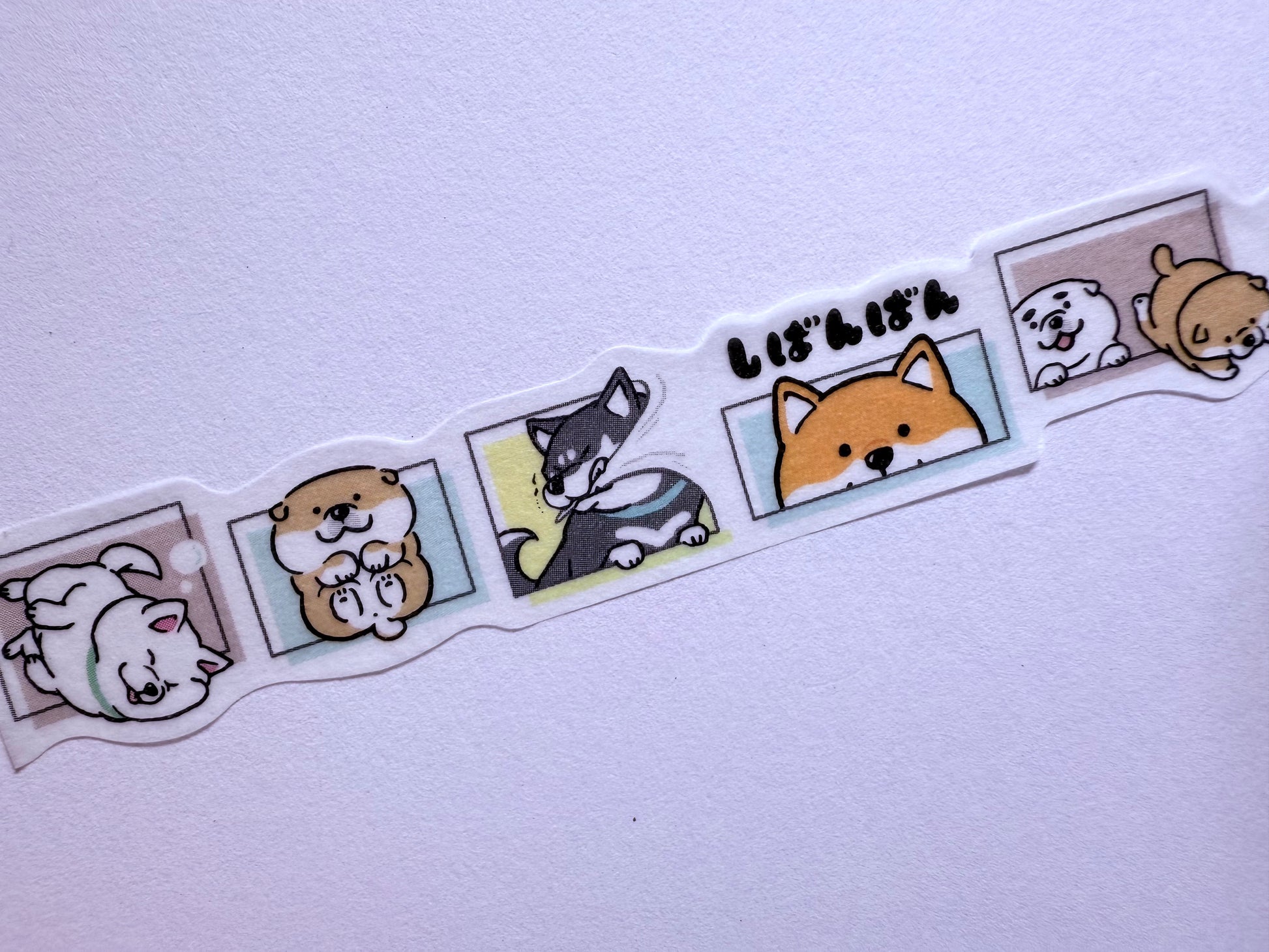 Set of cute animal stickers on a white background