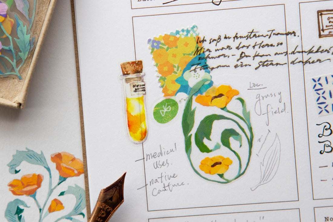 OURS Studio, PET Tape, The Wayfarer's Journal, botany notes
